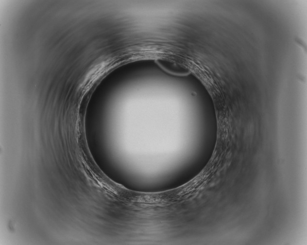 X0000097490338200802291438