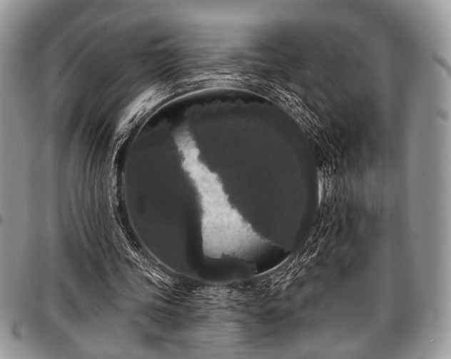 X0000097490339200802291438