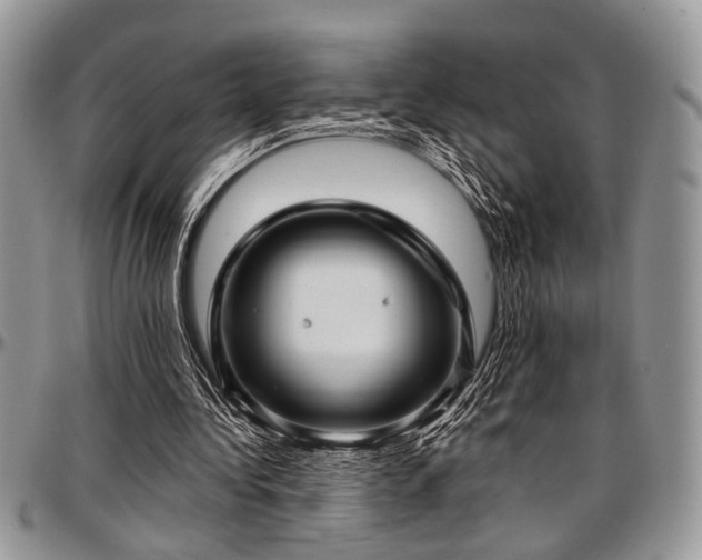 X0000097490340200802291438