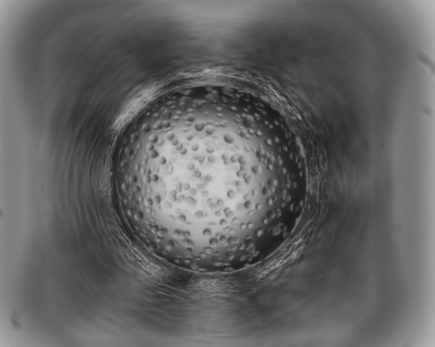 X0000097490341200802291438