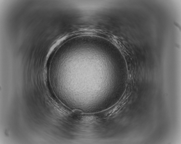 X0000097490342200802291438