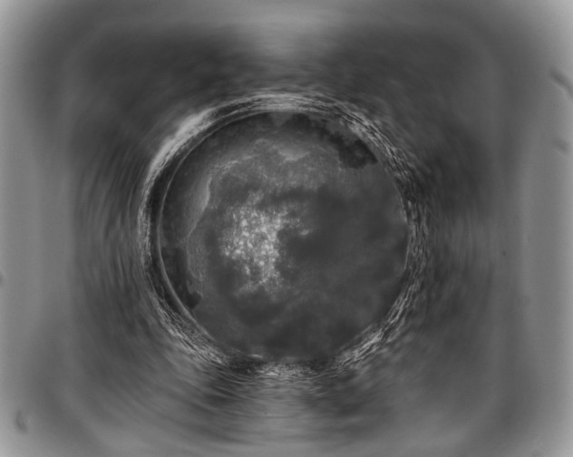 X0000097490343200802291438