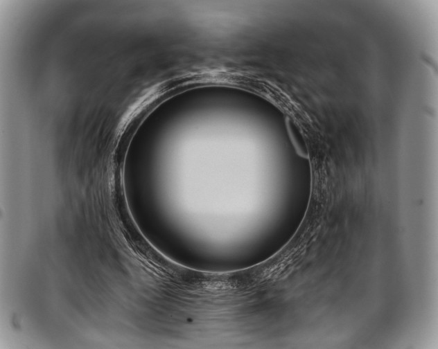 X0000097490344200802291438