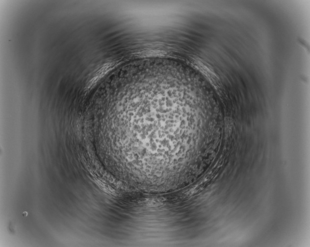 X0000097490345200802291438