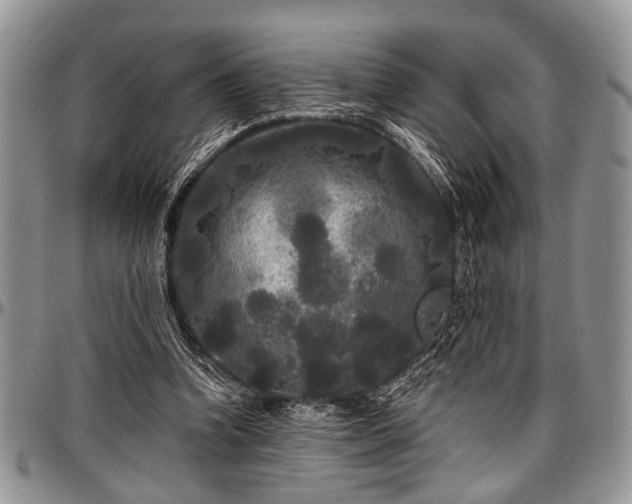 X0000097490346200802291438