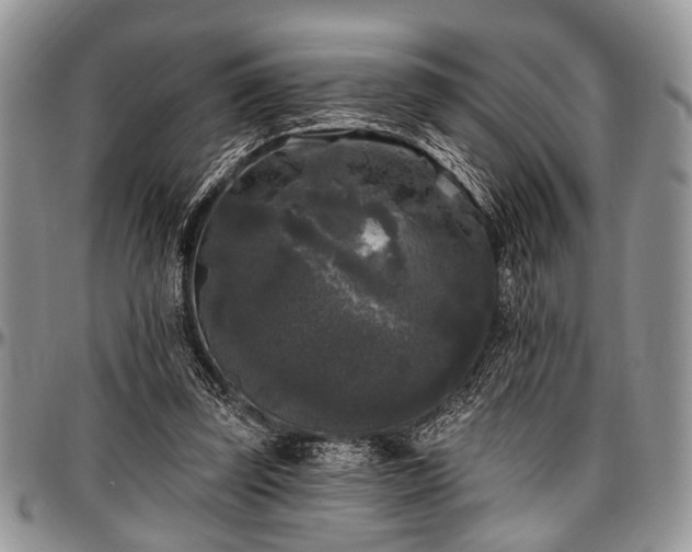 X0000097490347200802291438