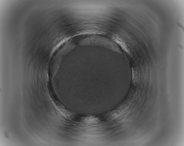 X0000097490348200802291438