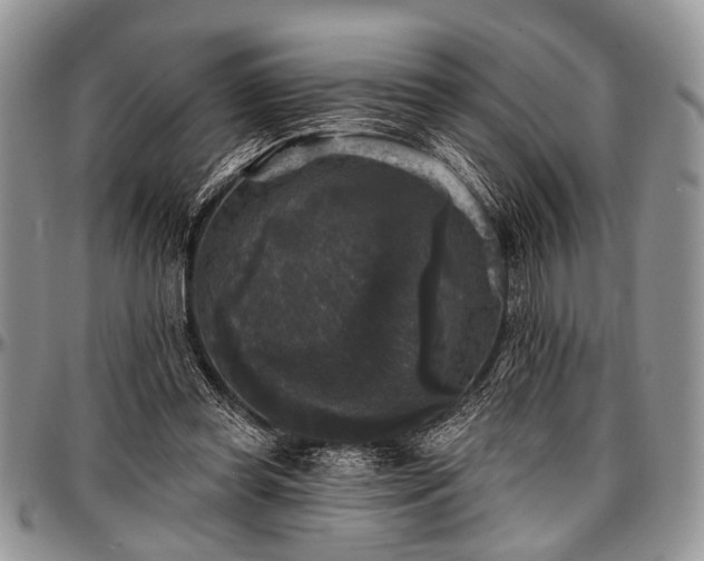 X0000097490349200802291438