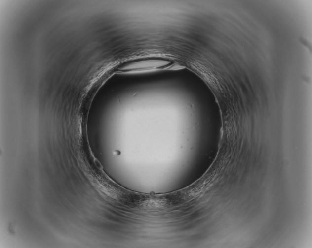 X0000097490350200802291438