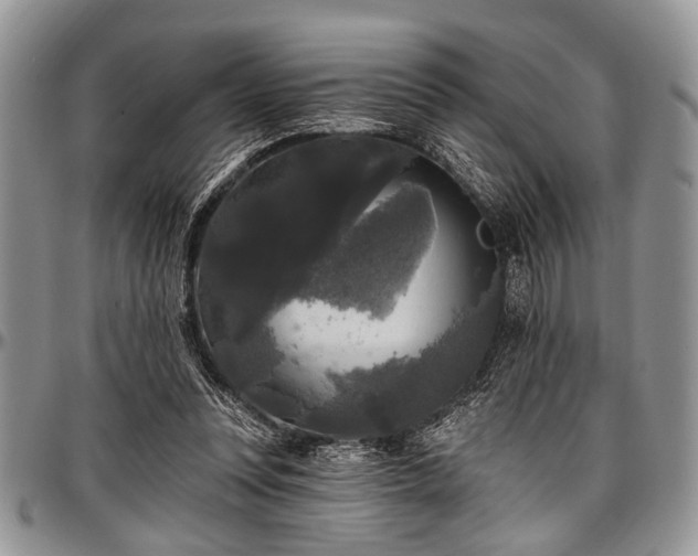 X0000097490351200802291438