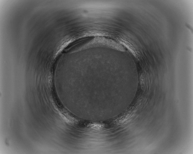 X0000097490352200802291438