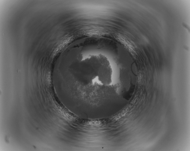 X0000097490353200802291438