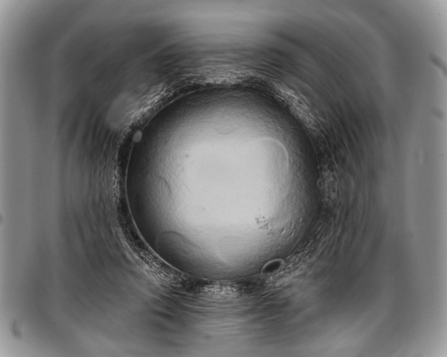 X0000097490354200802291438