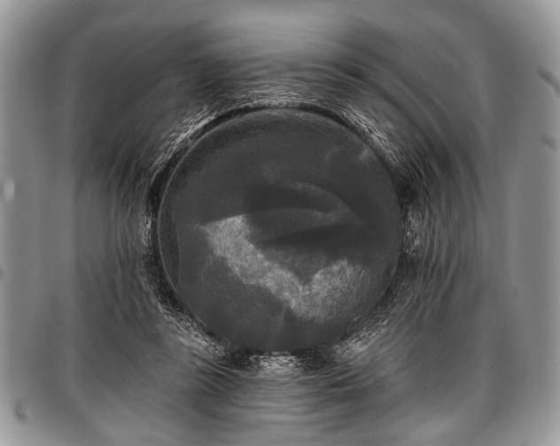 X0000097490355200802291438