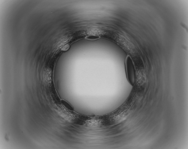 X0000097490356200802291438