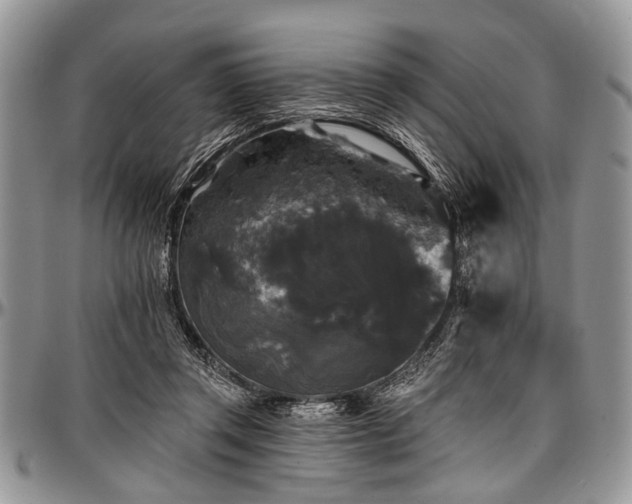 X0000097490357200802291438