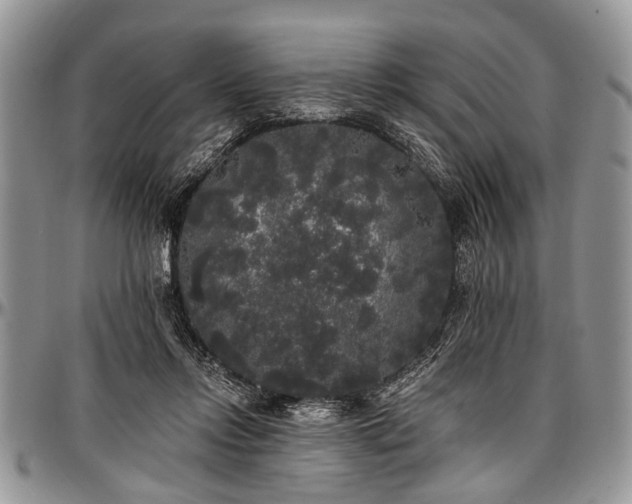 X0000097490358200802291438