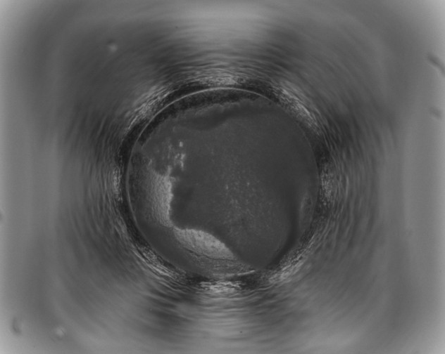 X0000097490359200802291438