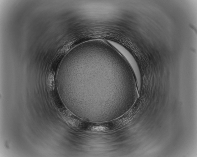 X0000097490360200802291438