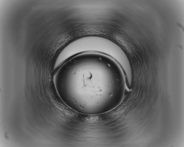 X0000097490362200802291438