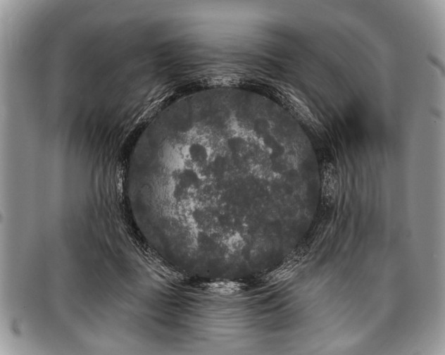 X0000097490363200802291438