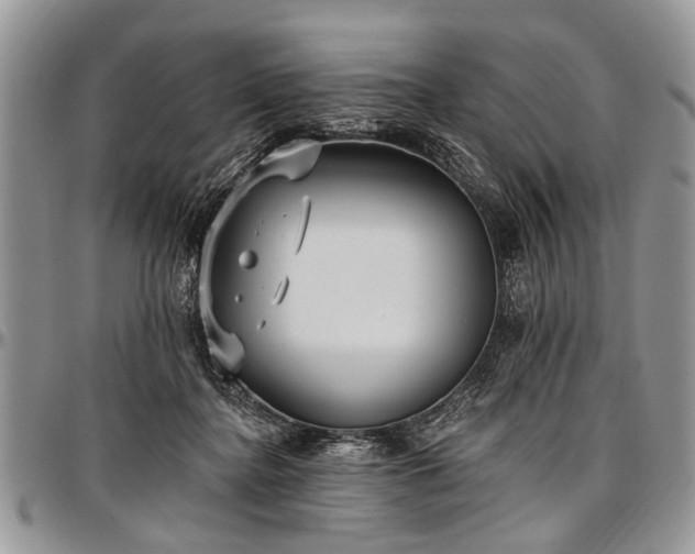 X0000097490364200802291438