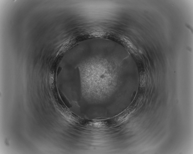 X0000097490365200802291438