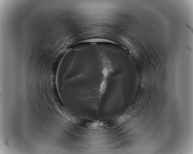 X0000097490366200802291438