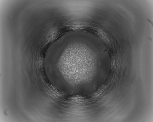 X0000097490367200802291438