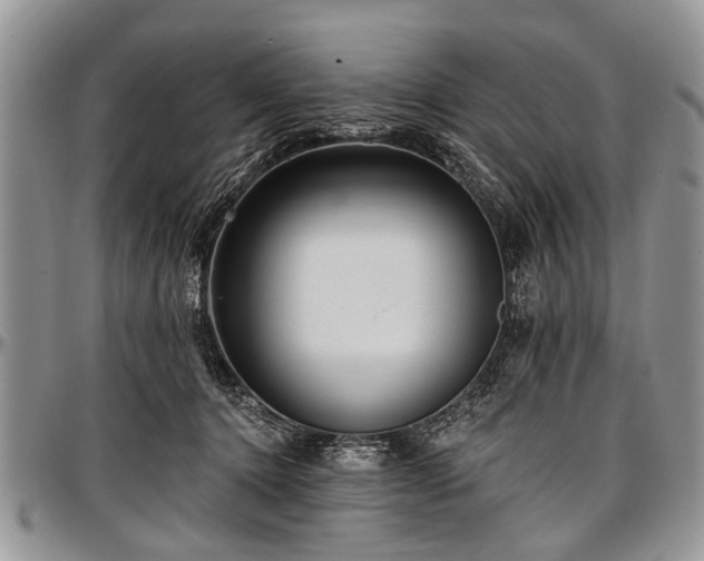 X0000097490368200802291438