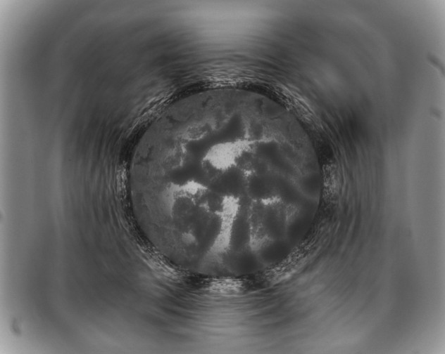 X0000097490369200802291438