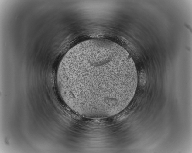 X0000097490370200802291438