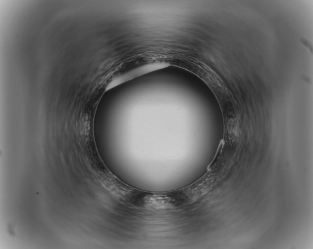 X0000097490372200802291438