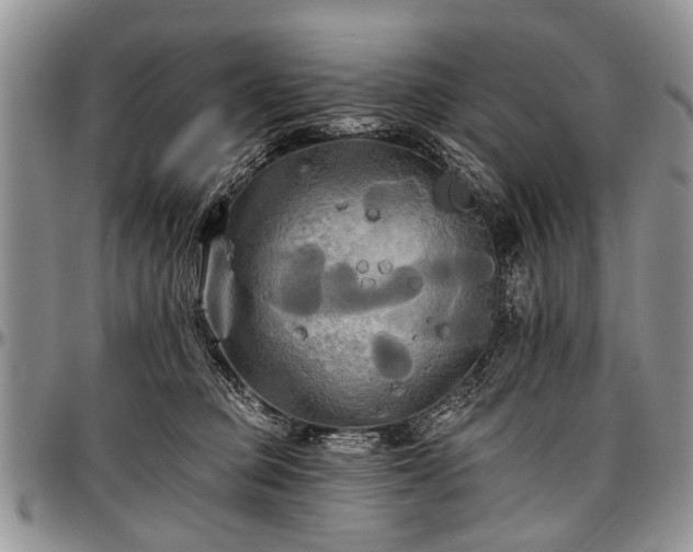 X0000097490373200802291438