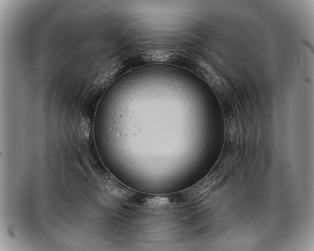 X0000097490374200802291438