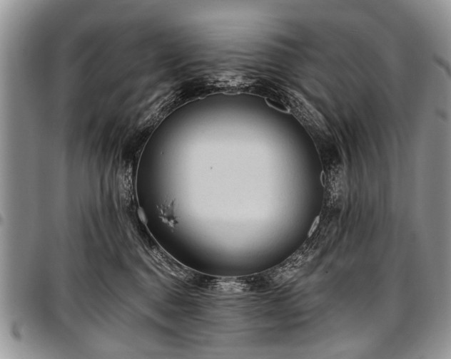 X0000097490376200802291438