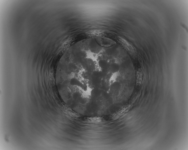 X0000097490377200802291438