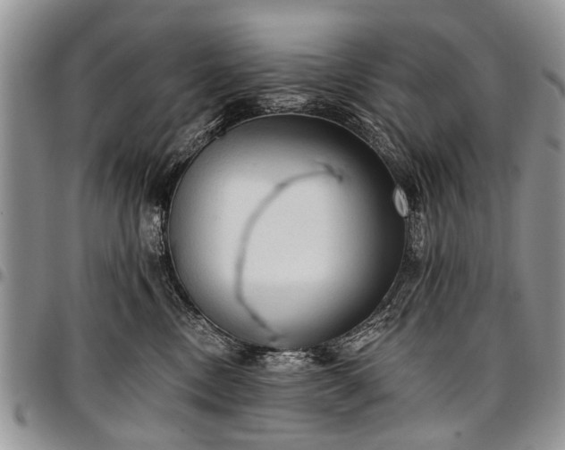 X0000097490378200802291438