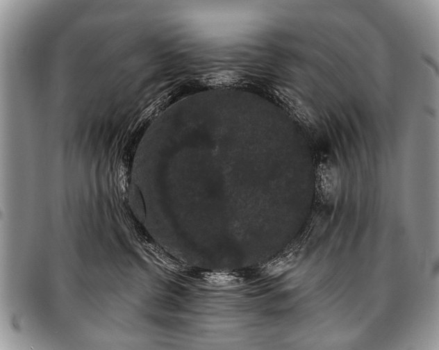 X0000097490380200802291438