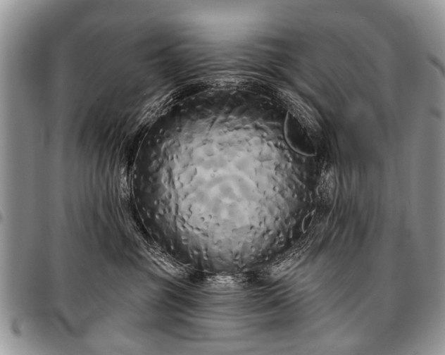 X0000097490381200802291438