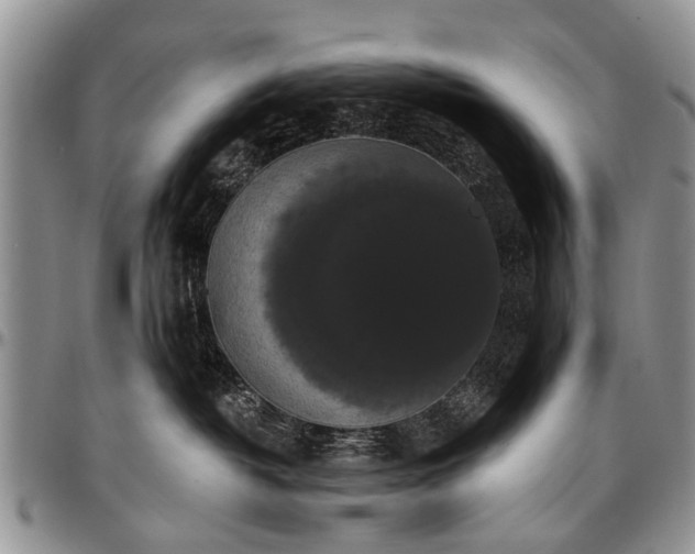 X0000097490382200802291438