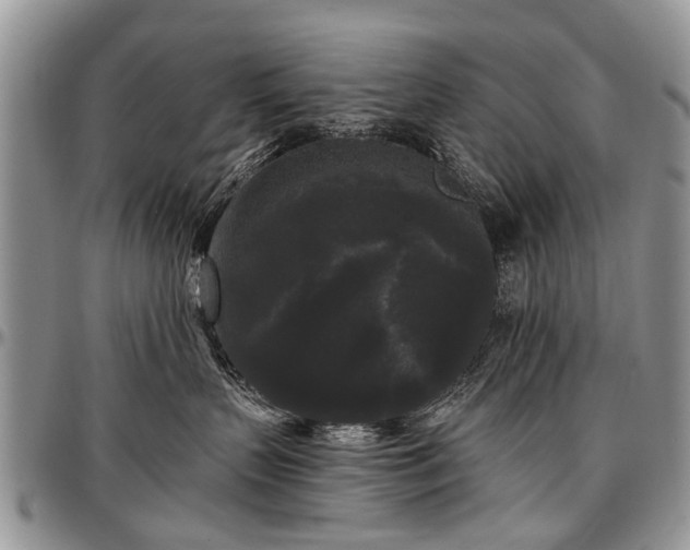 X0000097490383200802291438