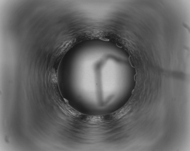 X0000097490384200802291438