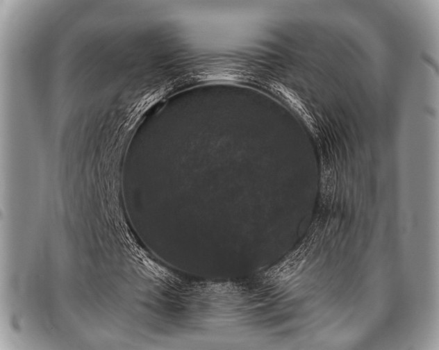 X0000097490385200802291438