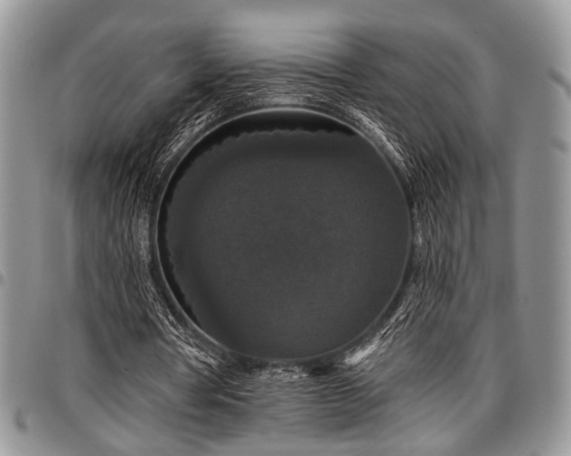 X0000097490386200802291438