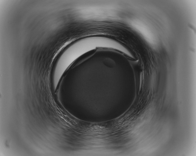 X0000097490387200802291438