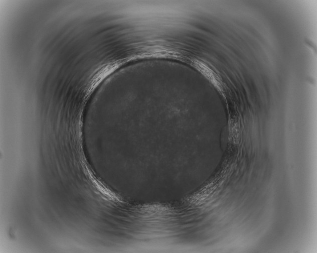 X0000097490389200802291438