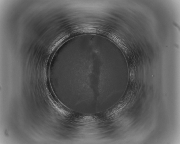 X0000097490390200802291438