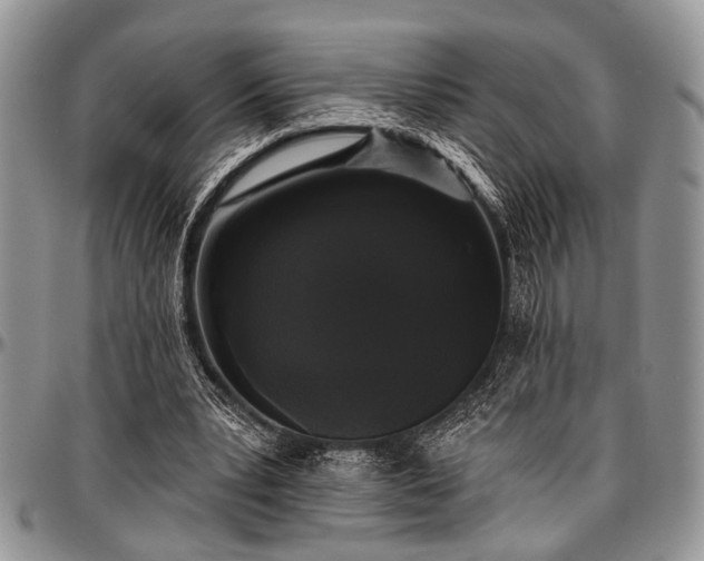 X0000097490391200802291438