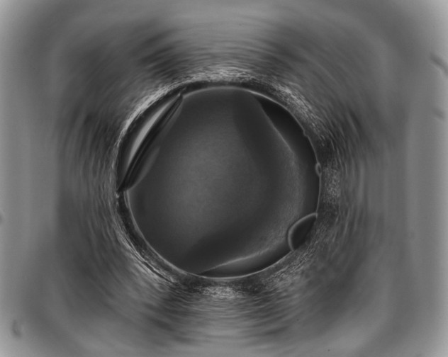 X0000097490392200802291438